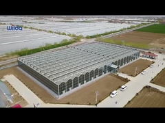 ग्लास ग्रीनहाउस