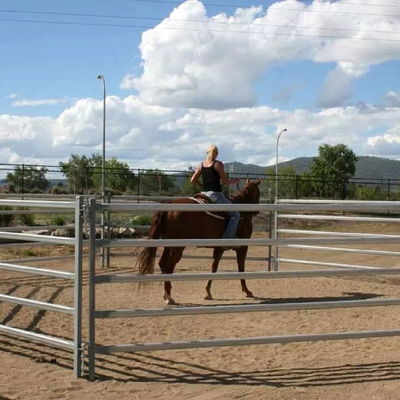 Corral Farm Galvanized Livestock Fencing Q195 Q345 1800mmx2100mm