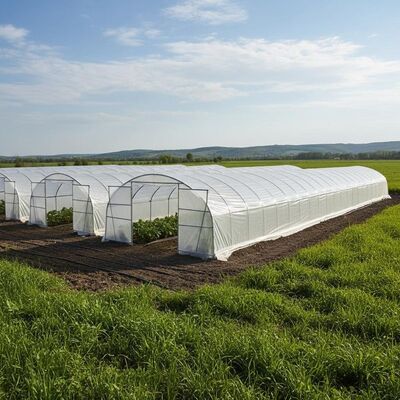 Customizable Width Greenhouse Tunnels with 20-32 Mm Frame Diameter Waterproof PE Cover