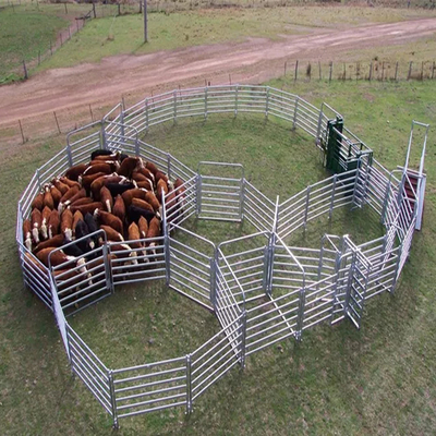 Corral Farm Galvanized Livestock Fencing Q195 Q345 1800mmx2100mm